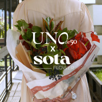Коллаборация и конкурс UNOde50 и SOTA Flower